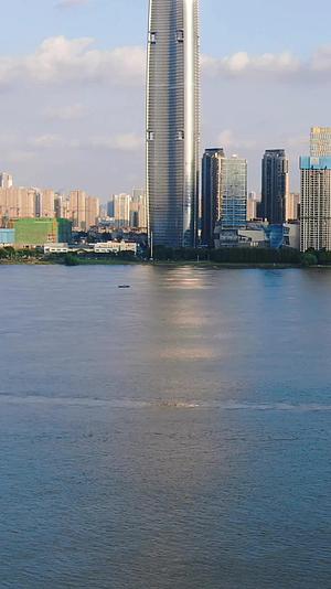 湖北武汉城市风光竖屏航拍视频的预览图