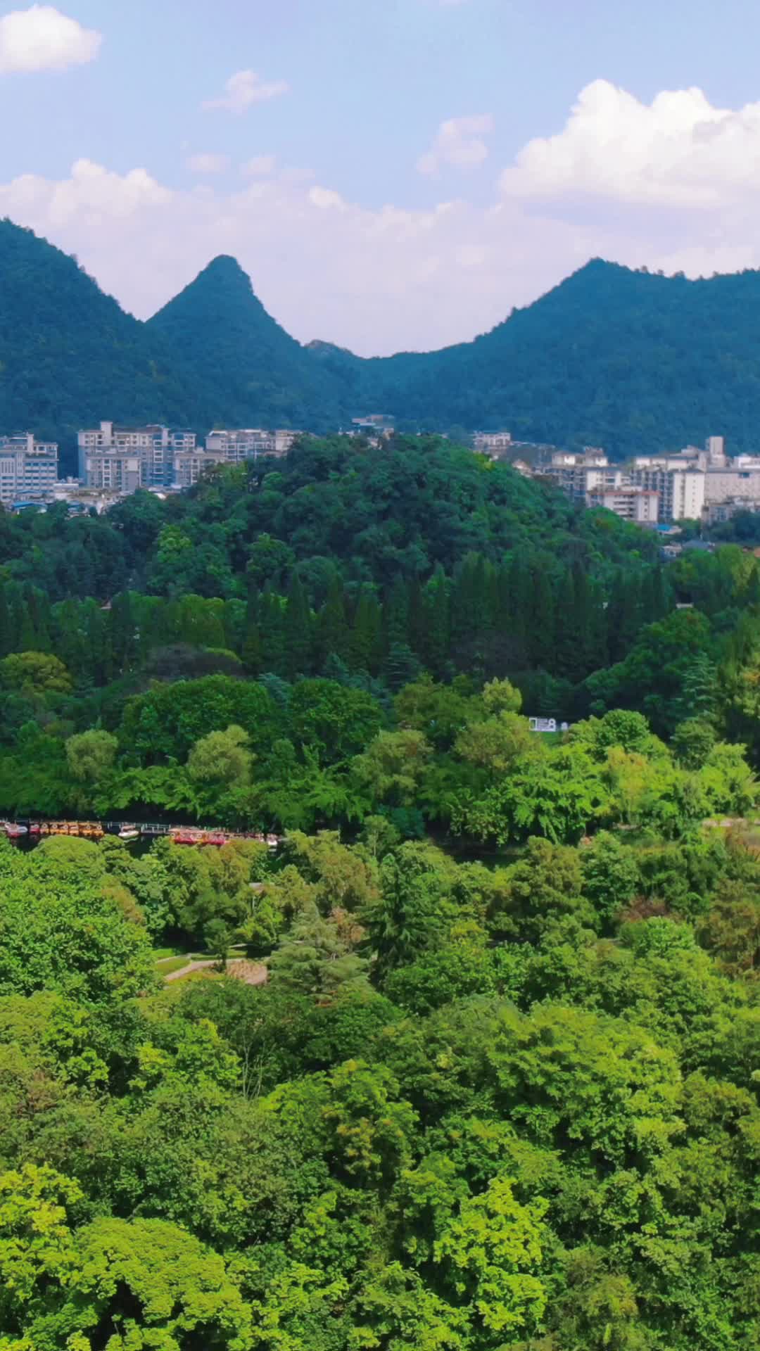 航拍贵州贵阳花溪公园竖屏视频的预览图