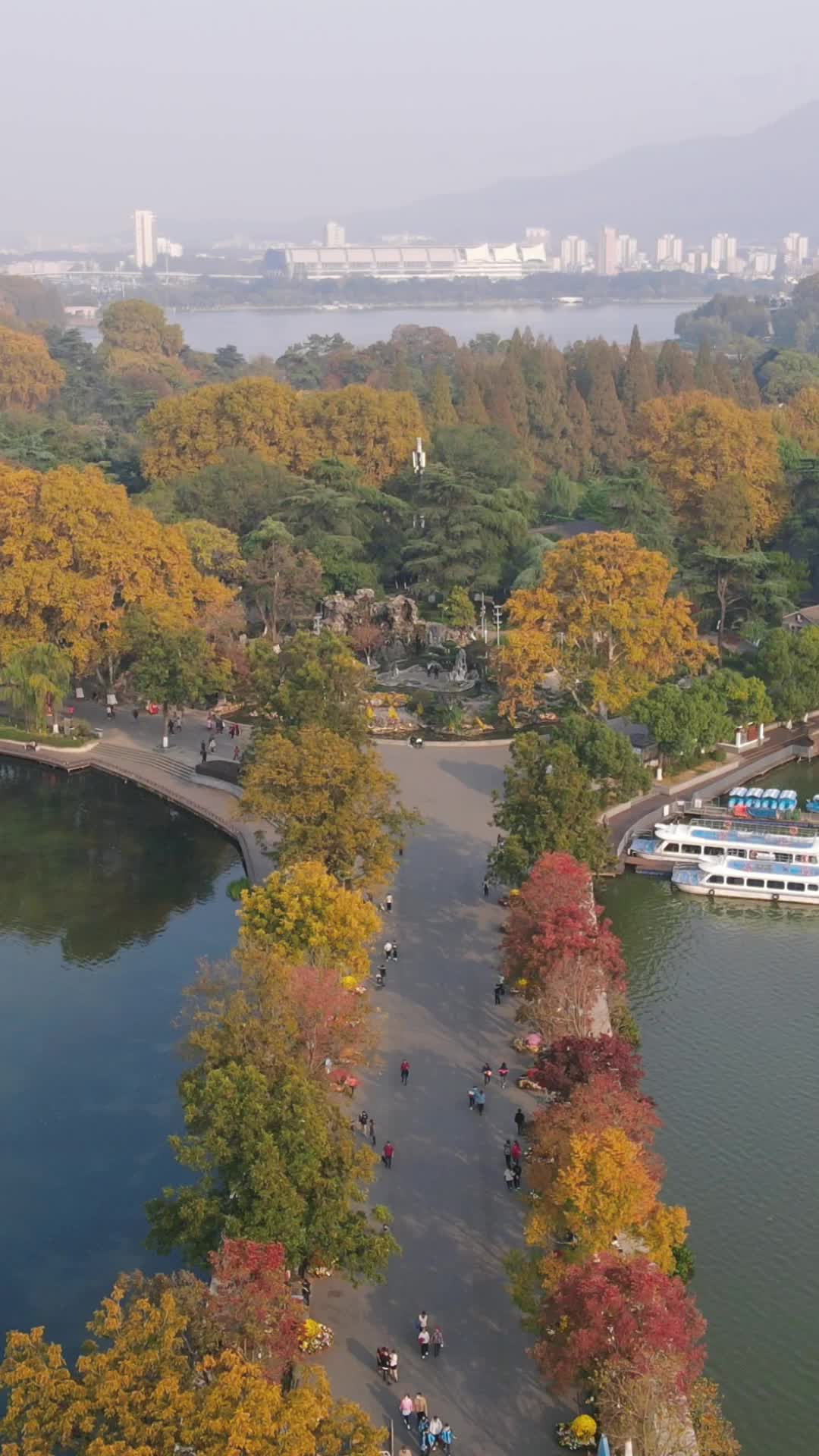 江苏南京玄武湖秋季竖屏航拍视频的预览图