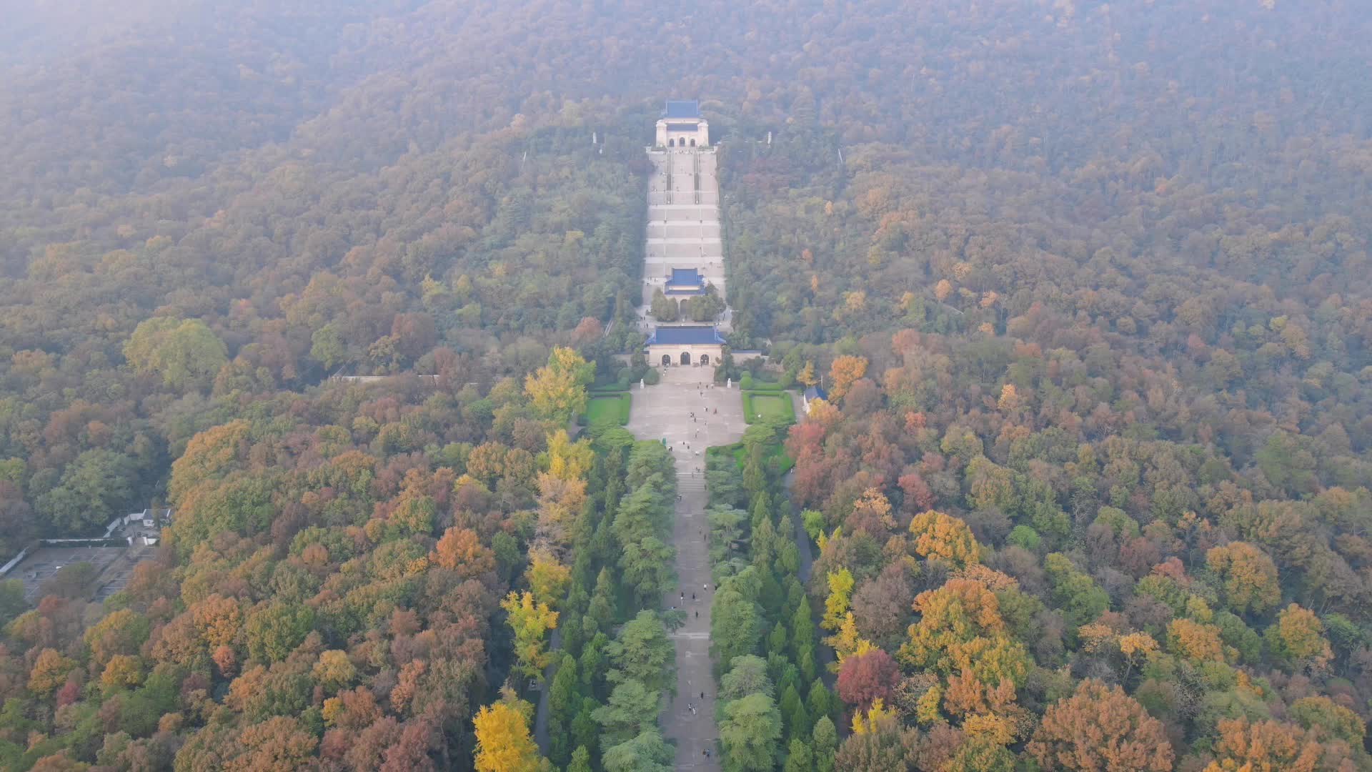 南京中山陵5A景区秋天竖屏航拍视频的预览图