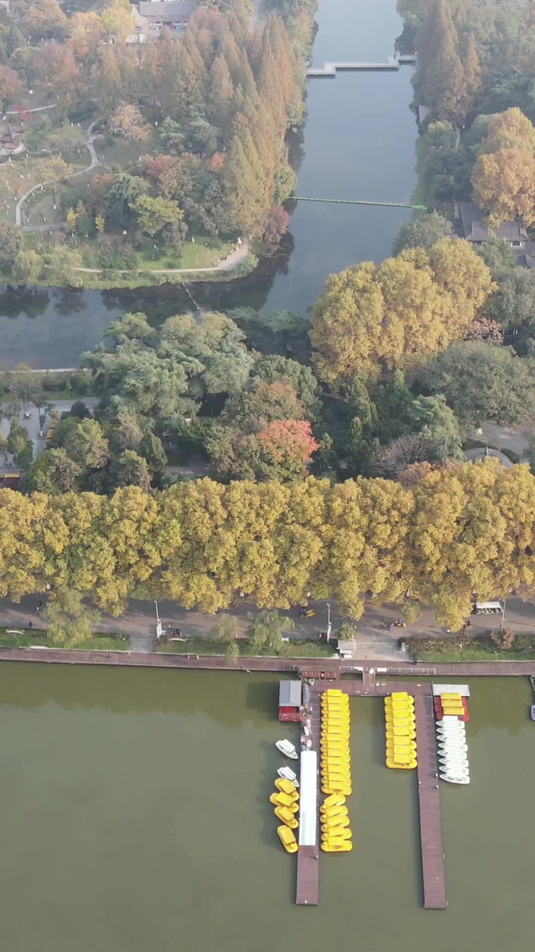 航拍江苏南京玄武湖秋景视频的预览图