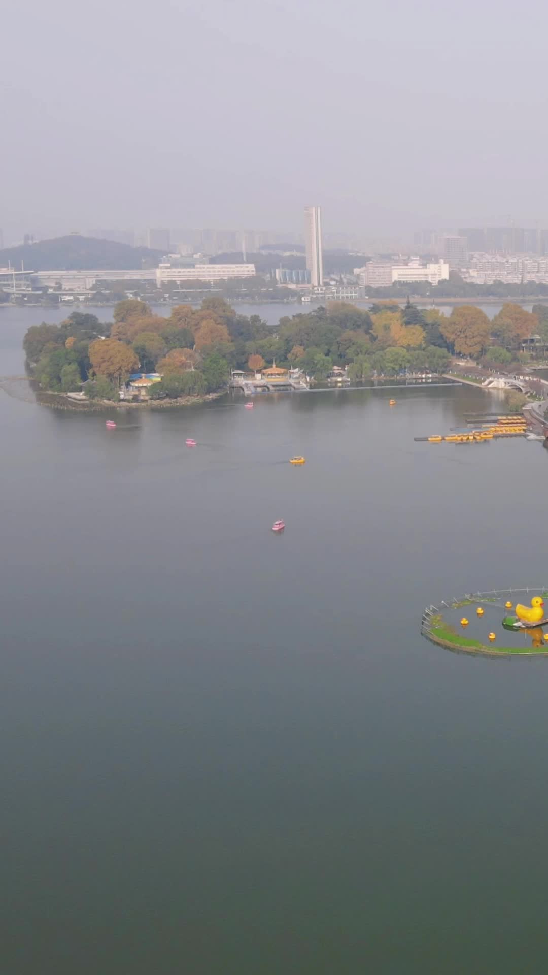 航拍江苏南京玄武湖秋景视频的预览图