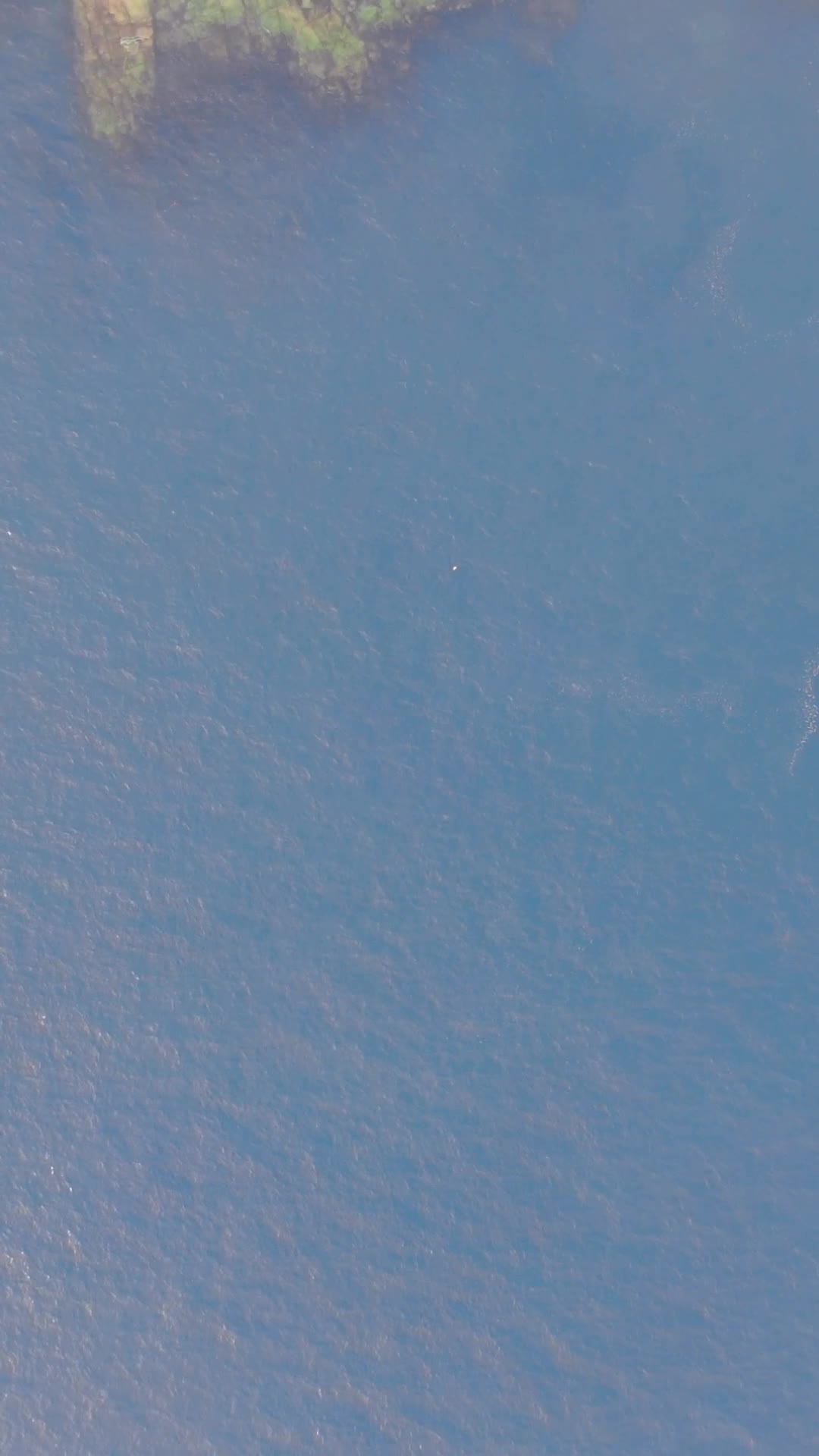 航拍蓝色海洋风光竖屏视频的预览图