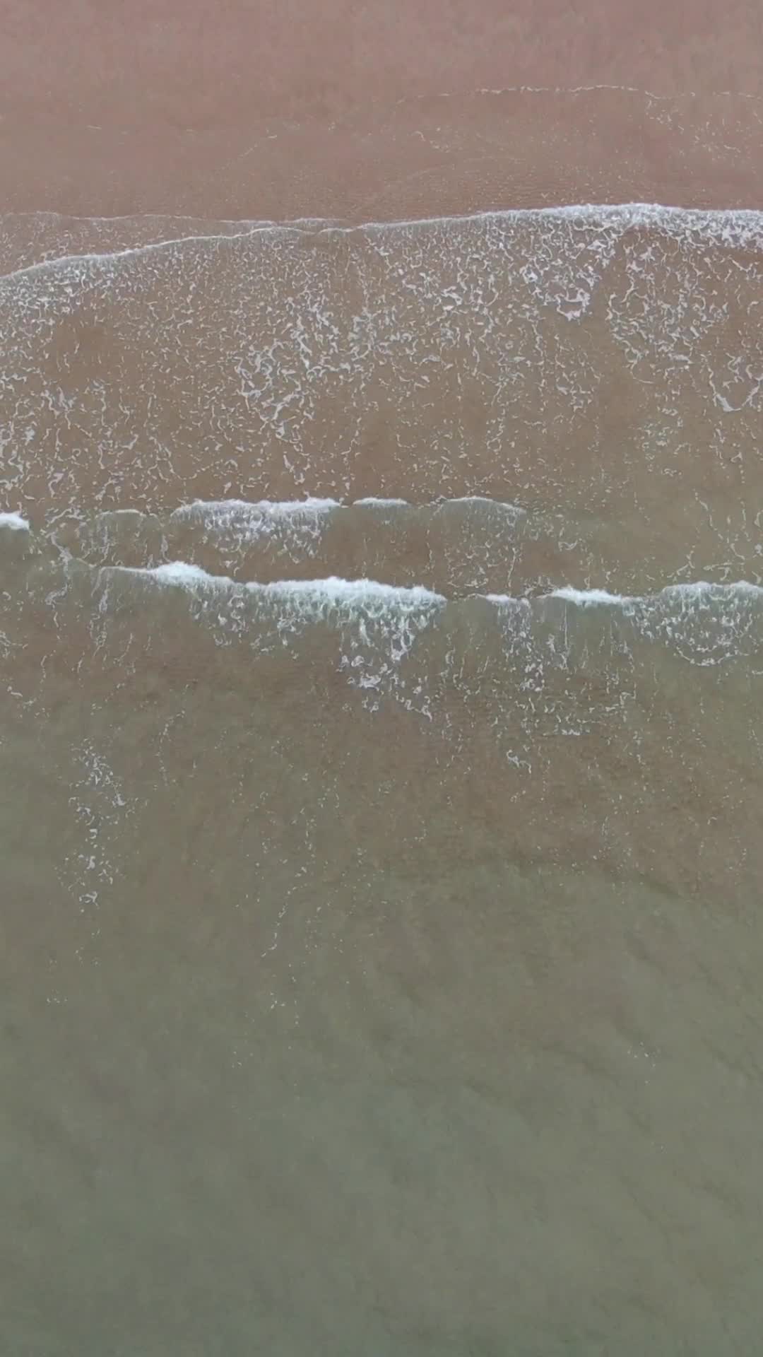 航拍大海海浪沙滩竖屏视频的预览图