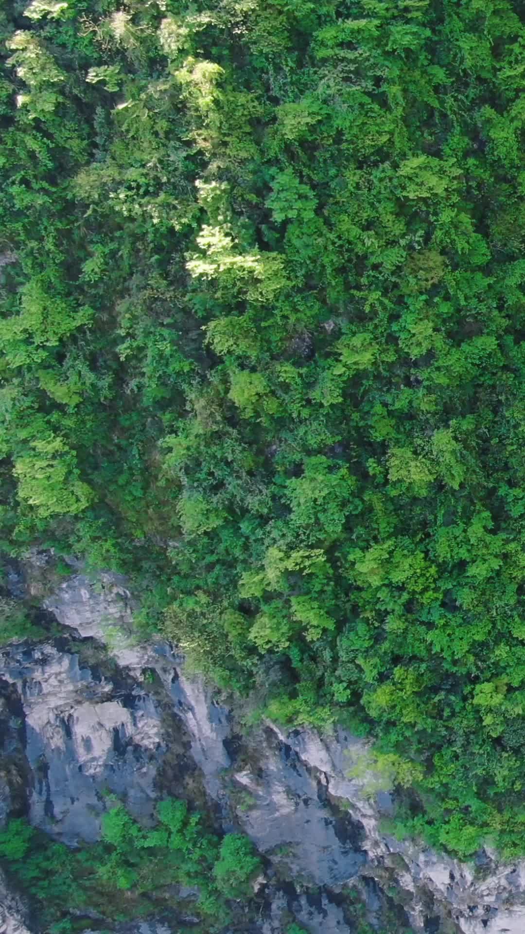 航拍湖南湘西地质公园竖屏视频的预览图