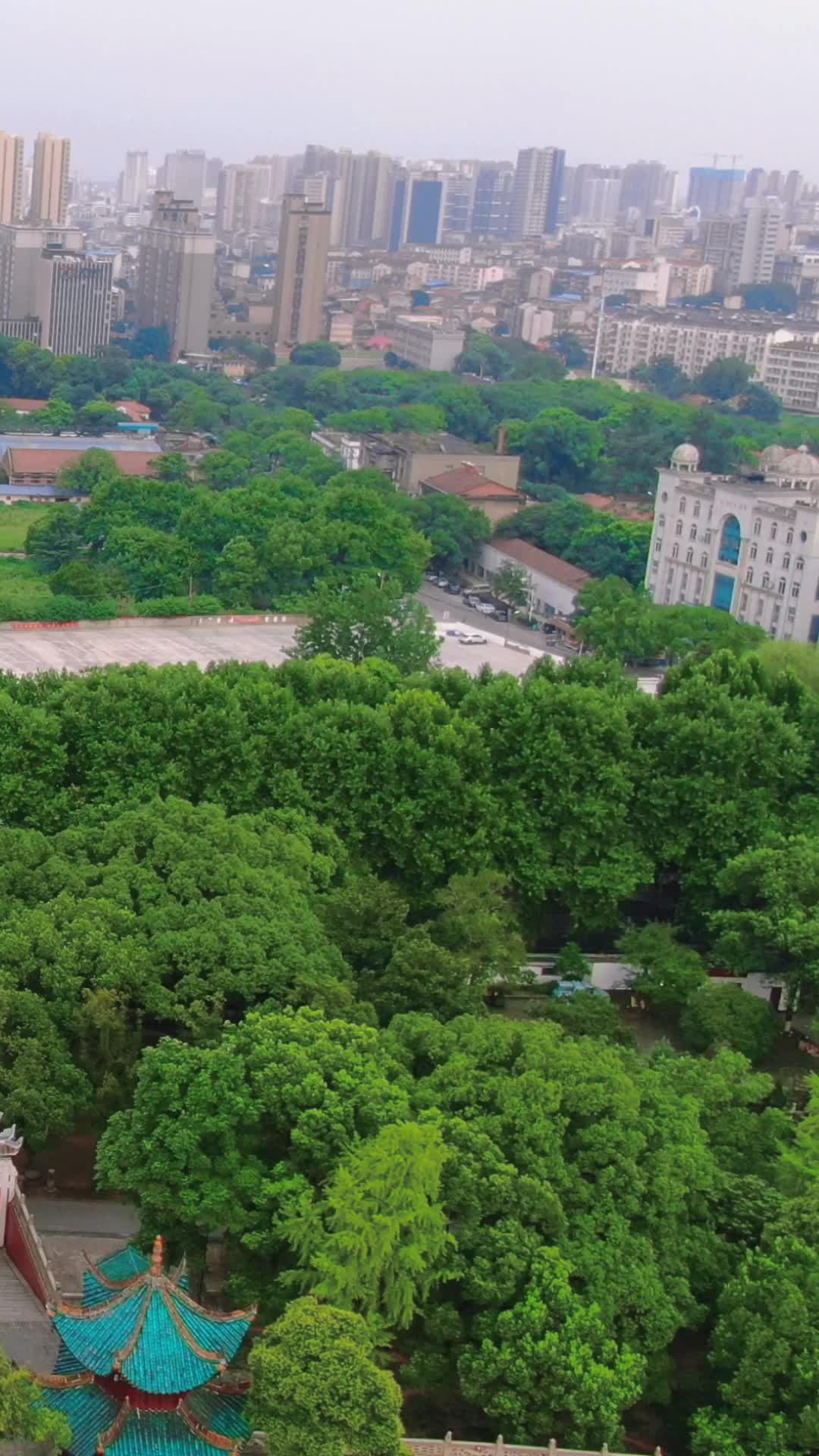 江西赣州城市公园绿化竖屏航拍视频的预览图