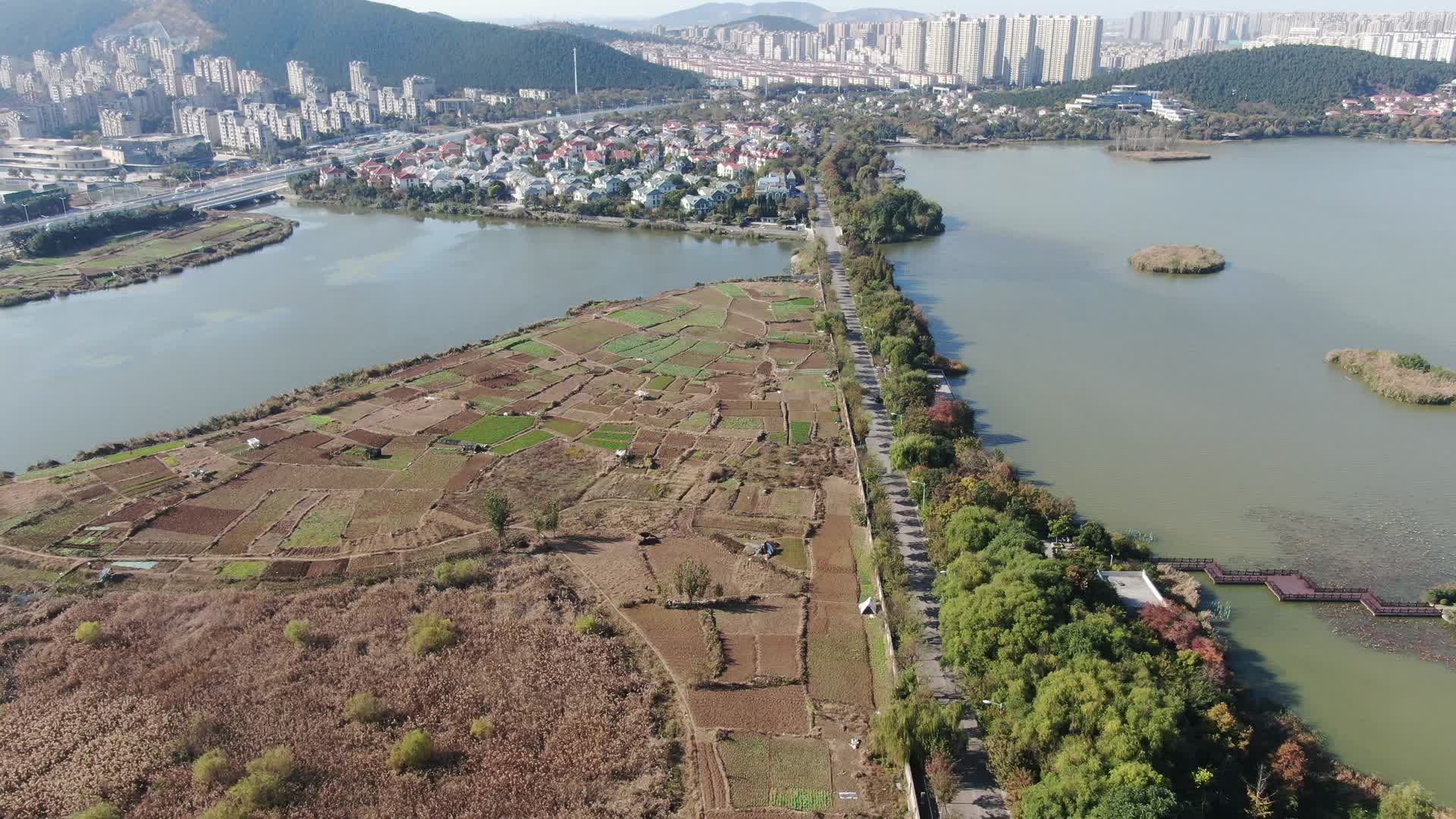 4K航拍湿地湖泊农业种植土地视频的预览图