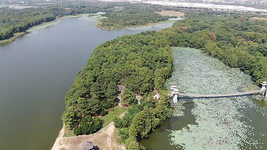 航拍湖北武汉东湖景区落雁景区视频的预览图
