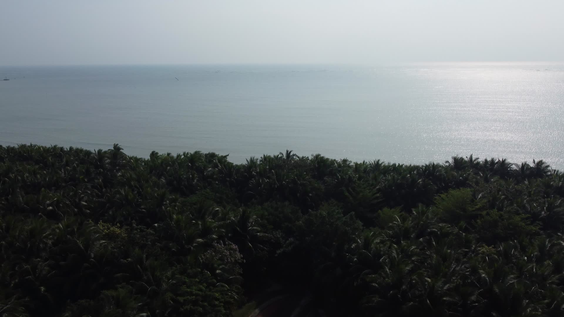 航拍海口市视频视频的预览图