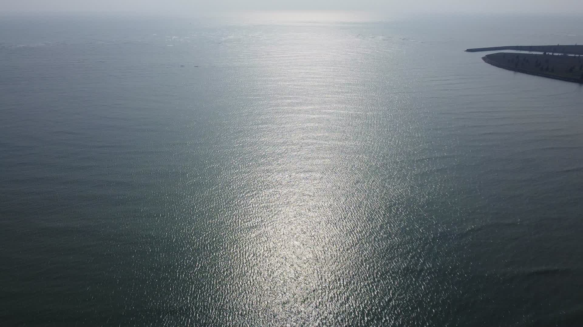 俯拍海口市视频视频的预览图