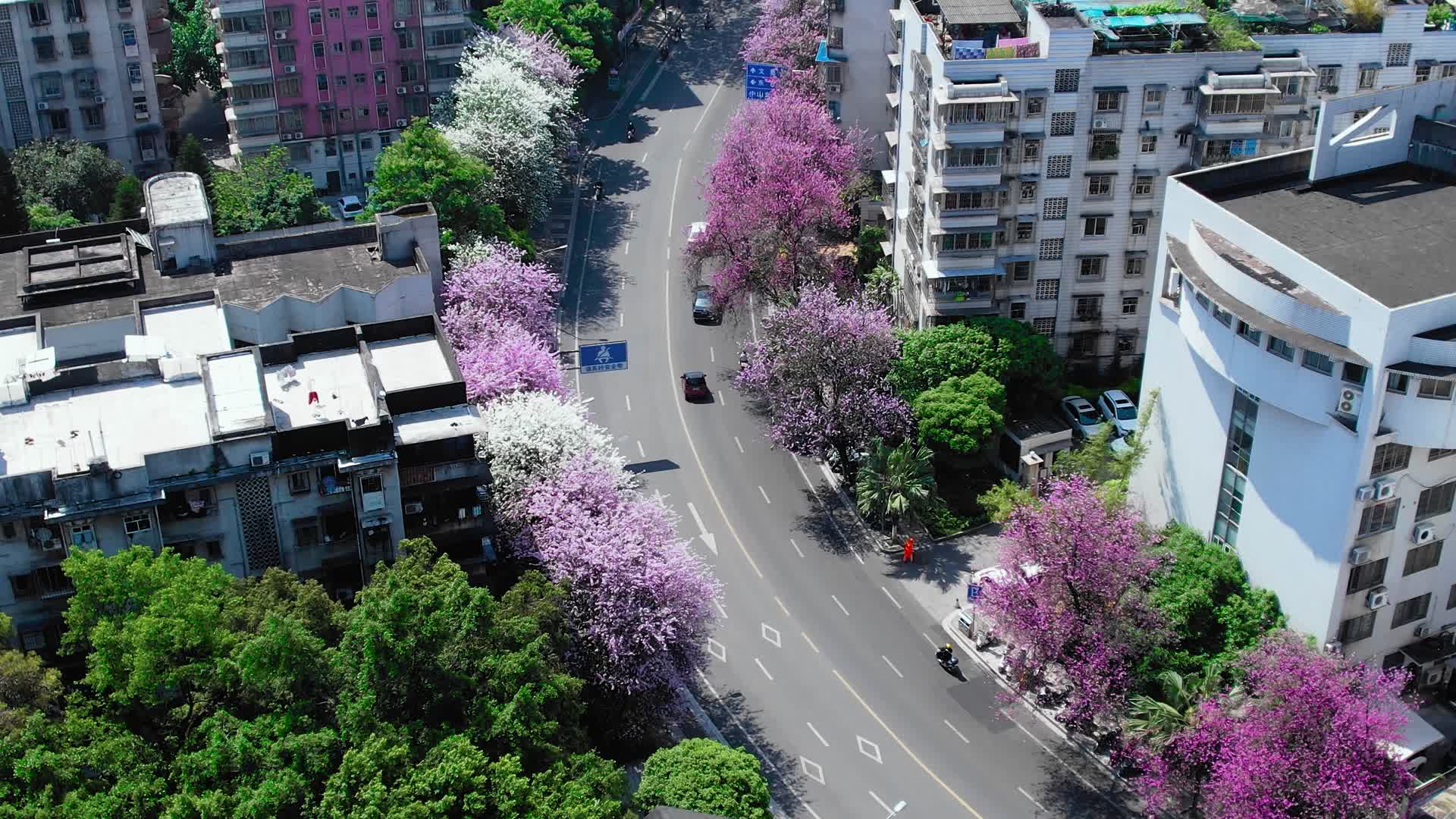 4K航拍柳州市风光视频的预览图