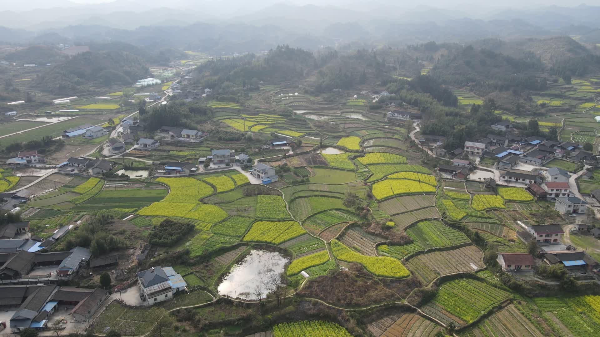 航拍湖南中国农村农业种植视频的预览图