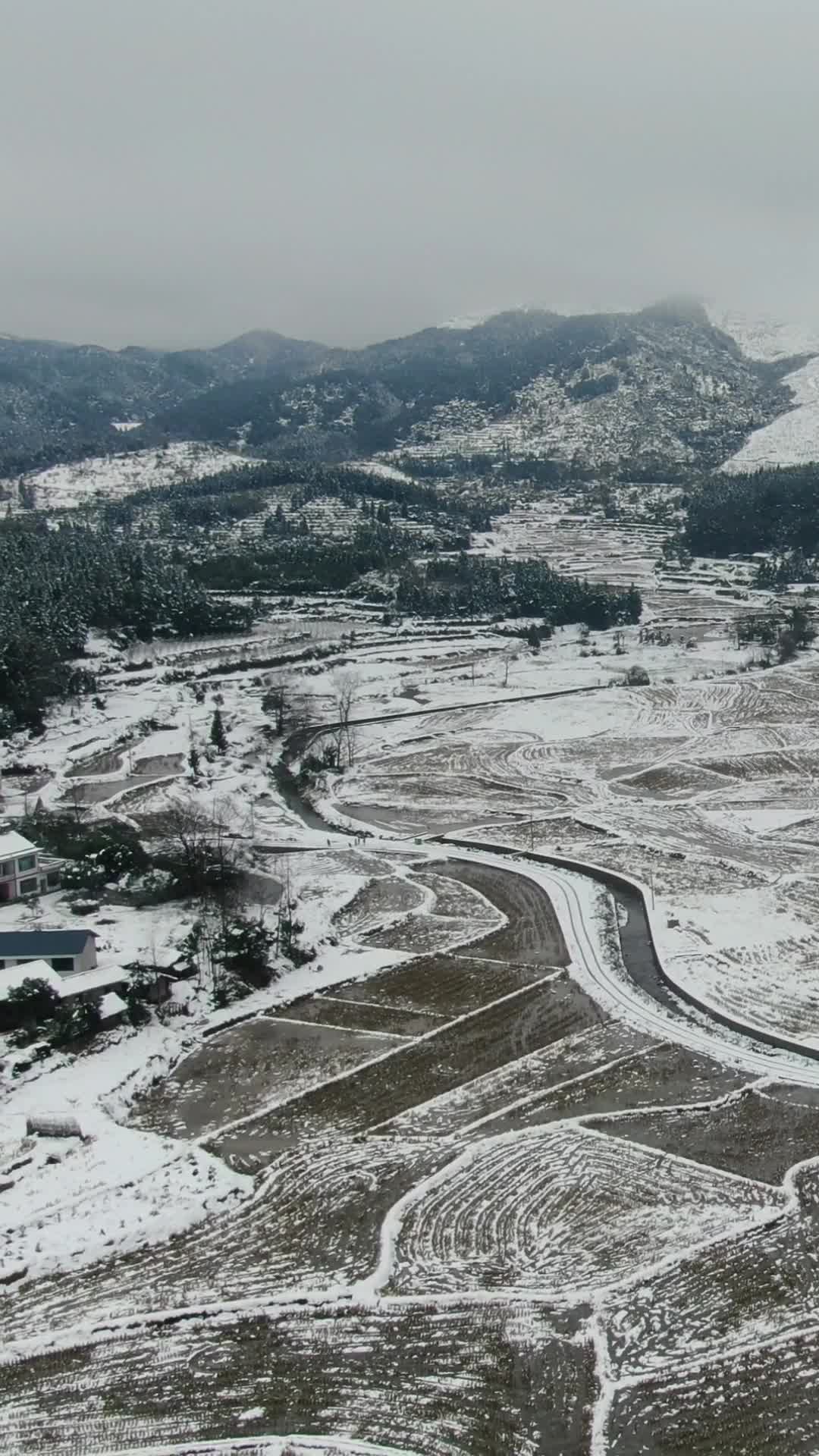 航拍南方农业种植农田雪景视频的预览图