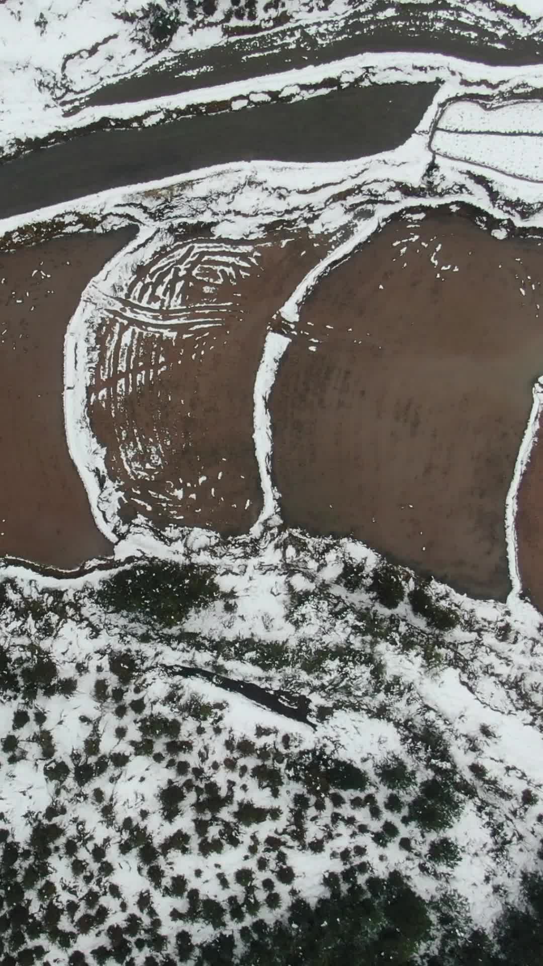 航拍南方农业种植农田雪景视频的预览图