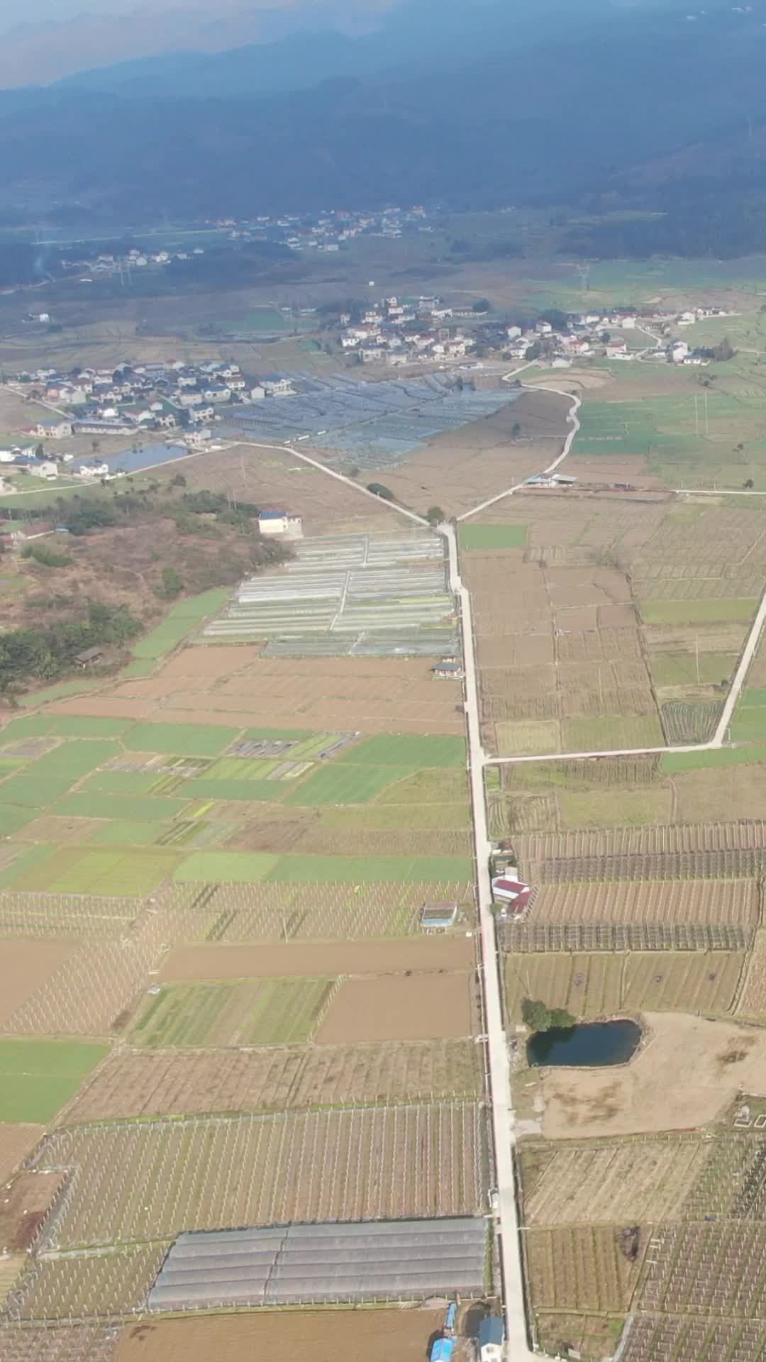 南方农田农业种植竖屏航拍视频的预览图