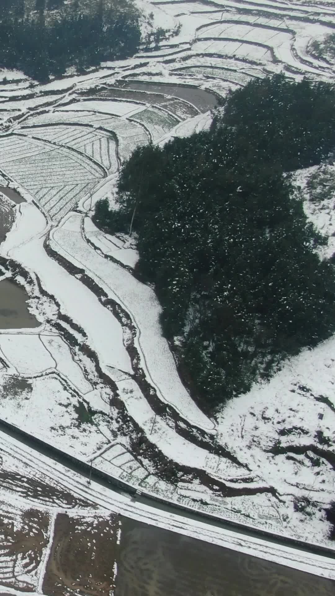 航拍南方雪景冬天视频的预览图
