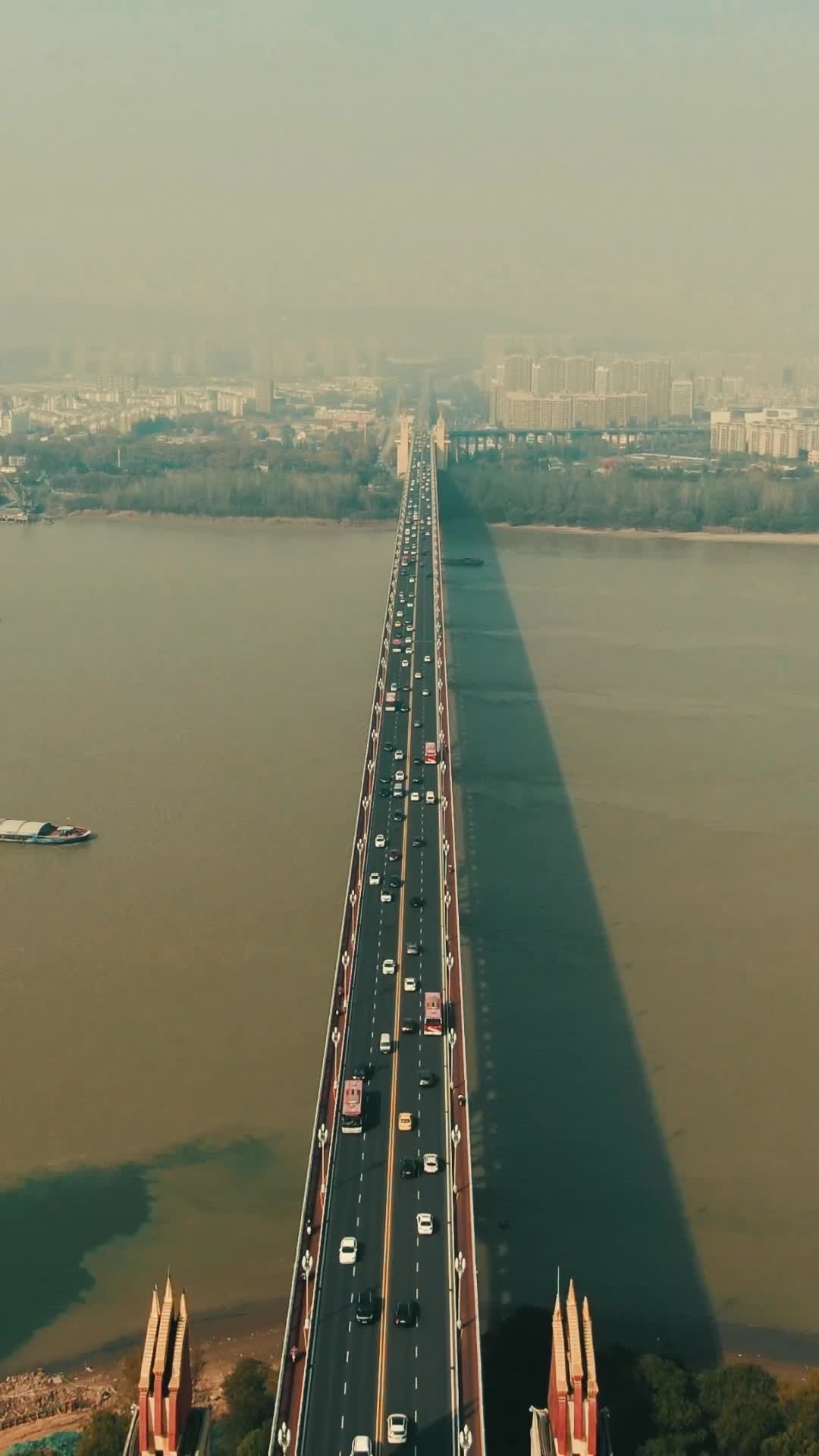 江苏南京城市交通法国梧桐航拍视频的预览图