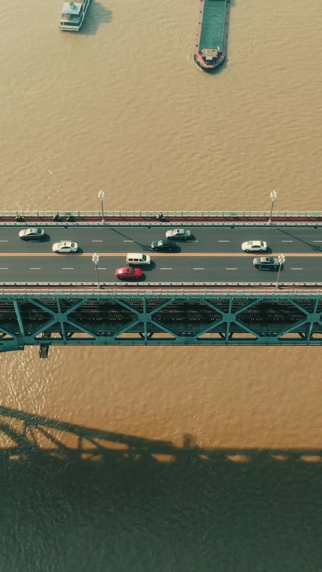 江苏南京长江大桥城市风光竖屏航拍视频的预览图