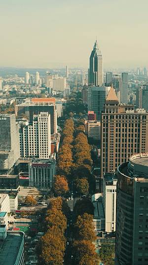南京城市秋天风景竖屏航拍视频的预览图
