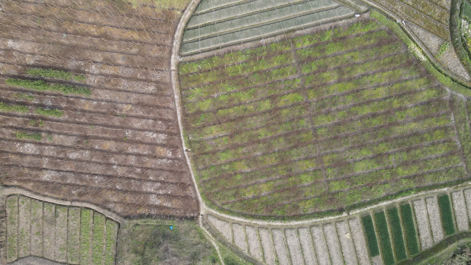 航拍春耕农业农田视频的预览图
