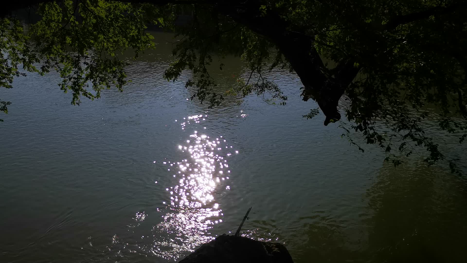 实拍大自然湖面波光视频的预览图