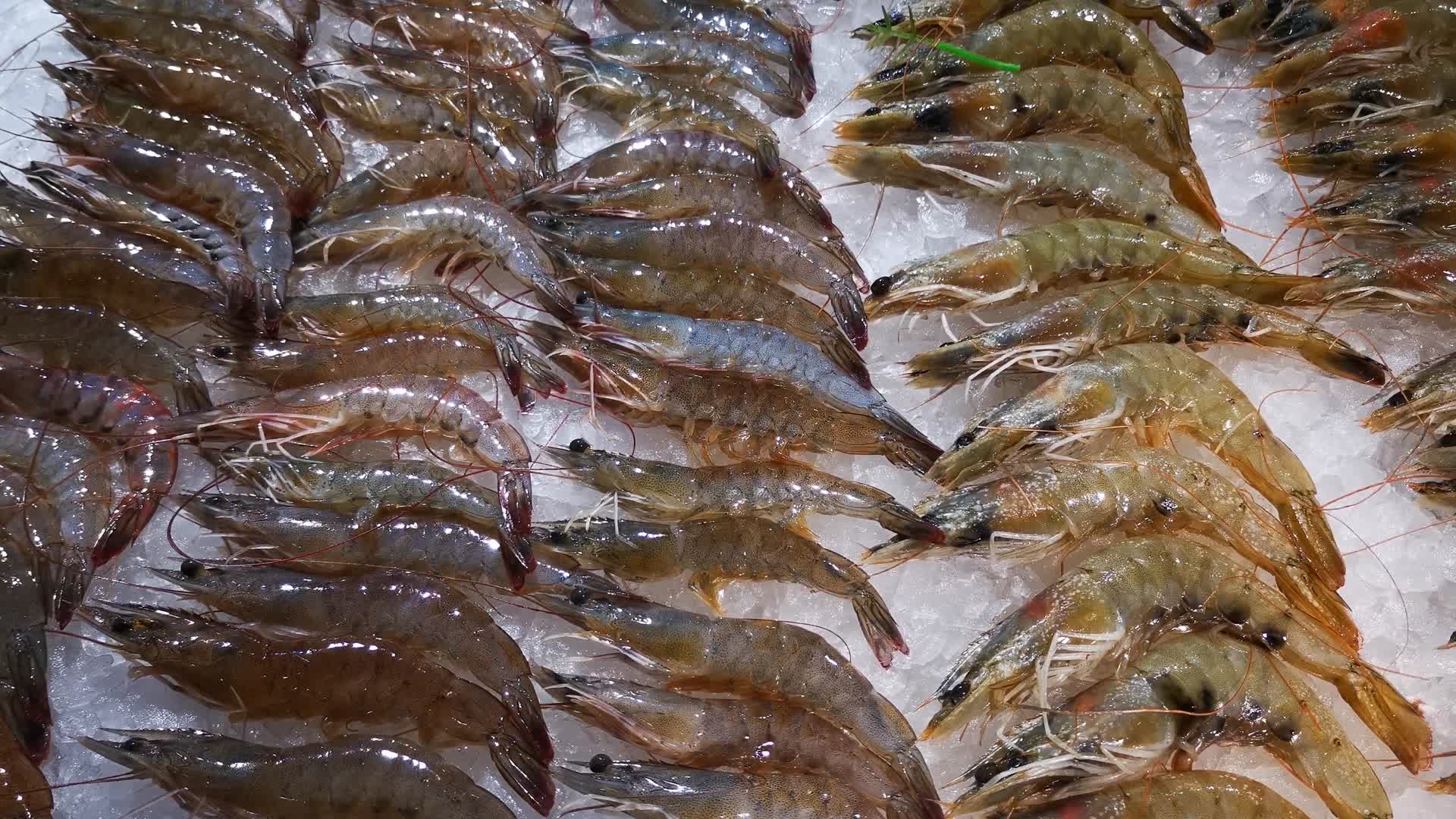超市海鲜生鲜食品视频的预览图