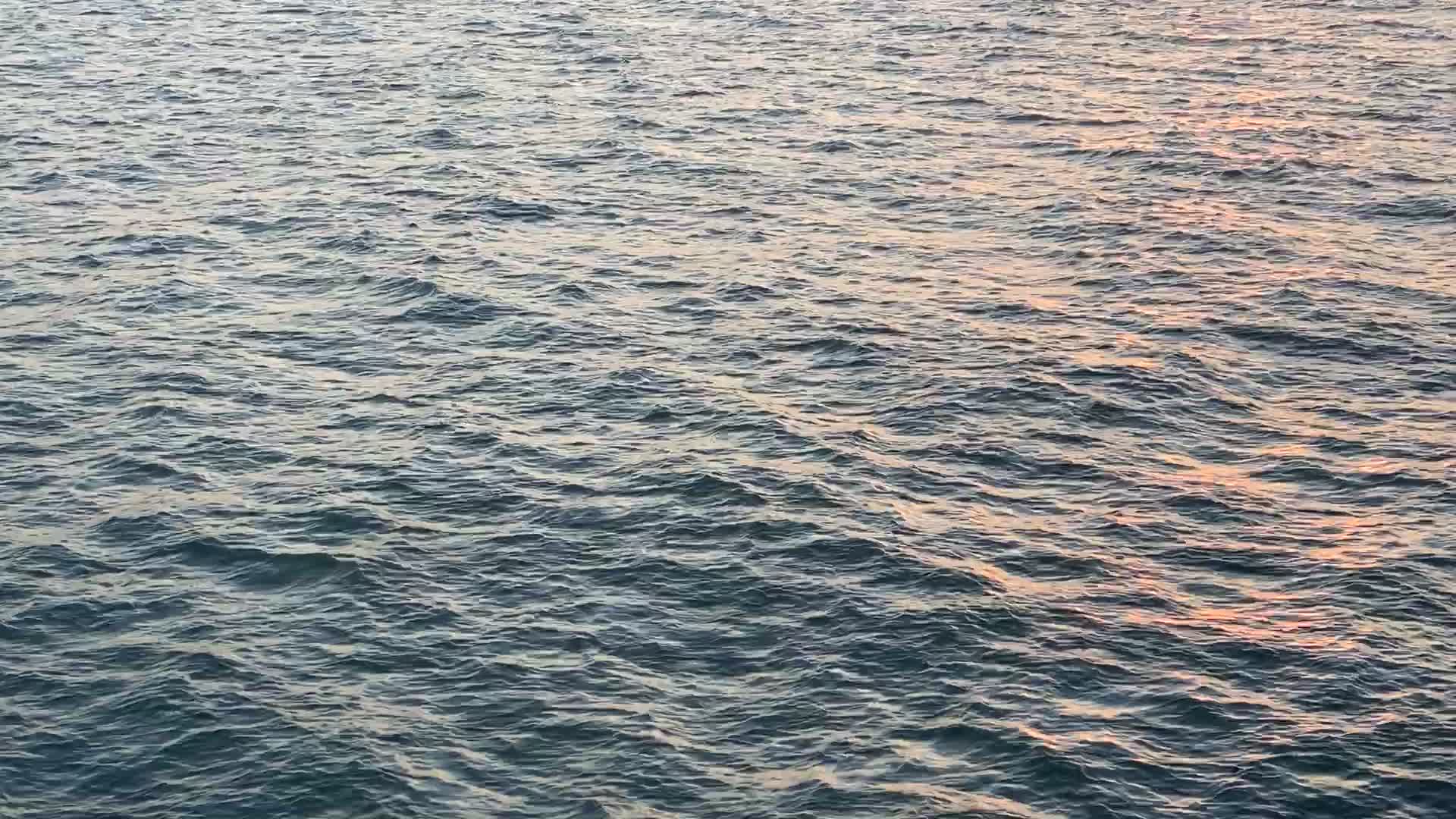 厦门市航拍视频视频的预览图