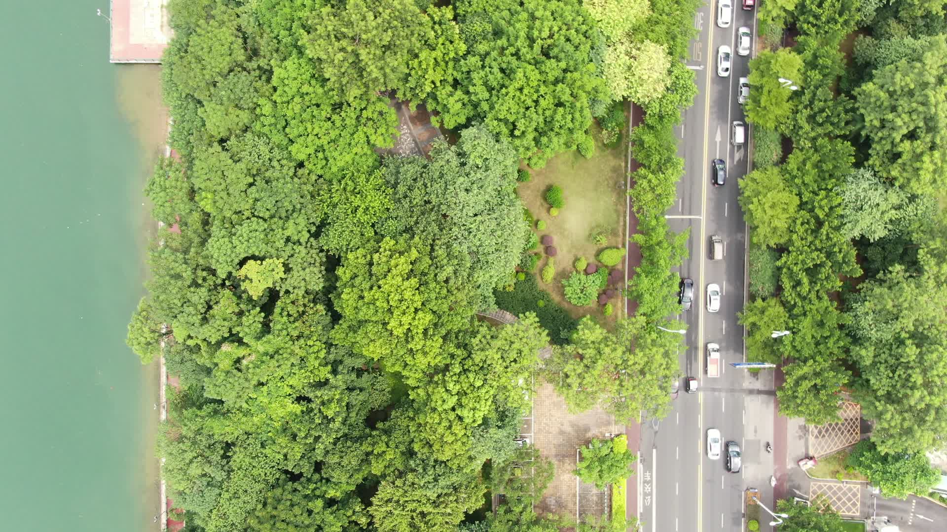 航拍广西柳州沿江路绿化大道视频的预览图
