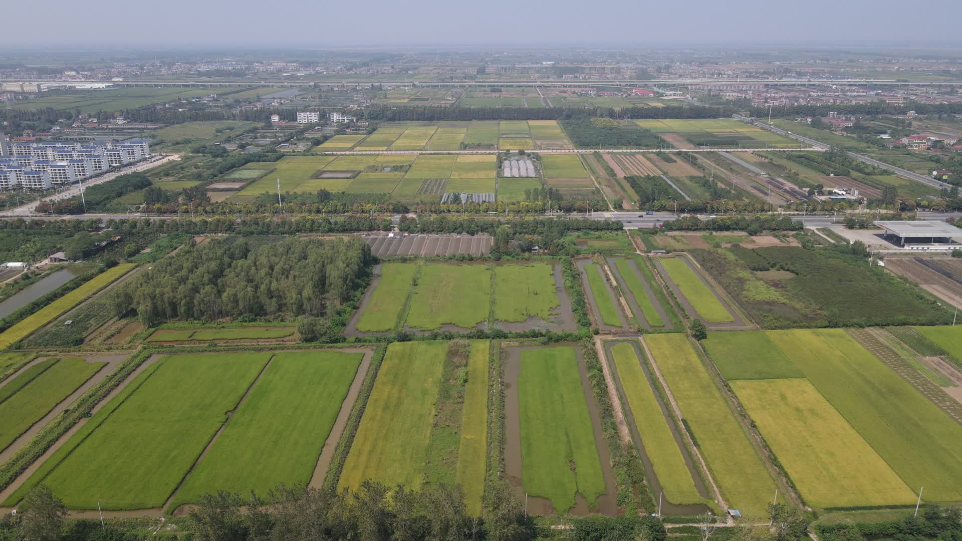 航拍农田保护区稻田种植基地视频的预览图