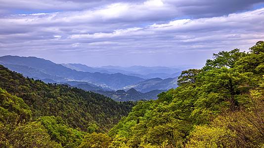 4k延时贵州黔东南雷山县雷公山国家级自然保护区视频的预览图