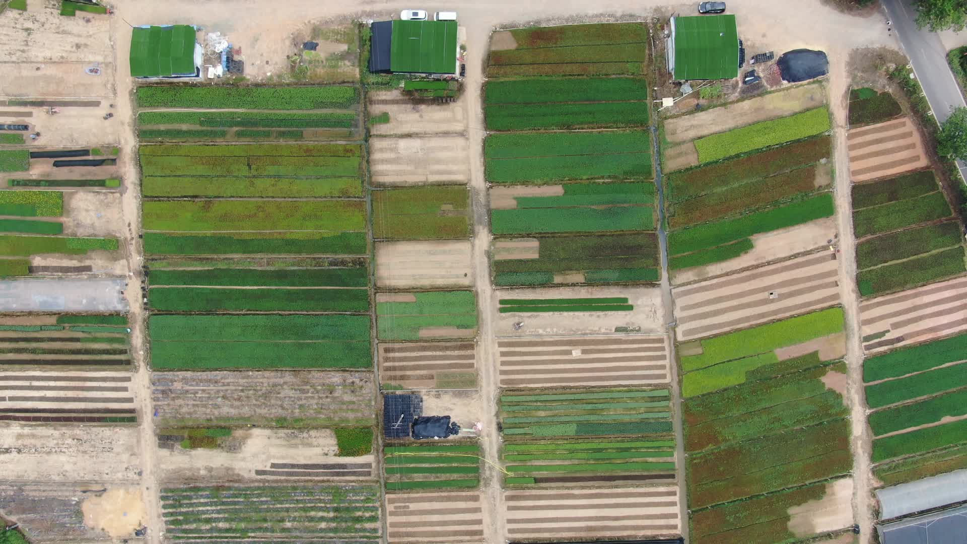 航拍农业农田种植蔬菜视频的预览图