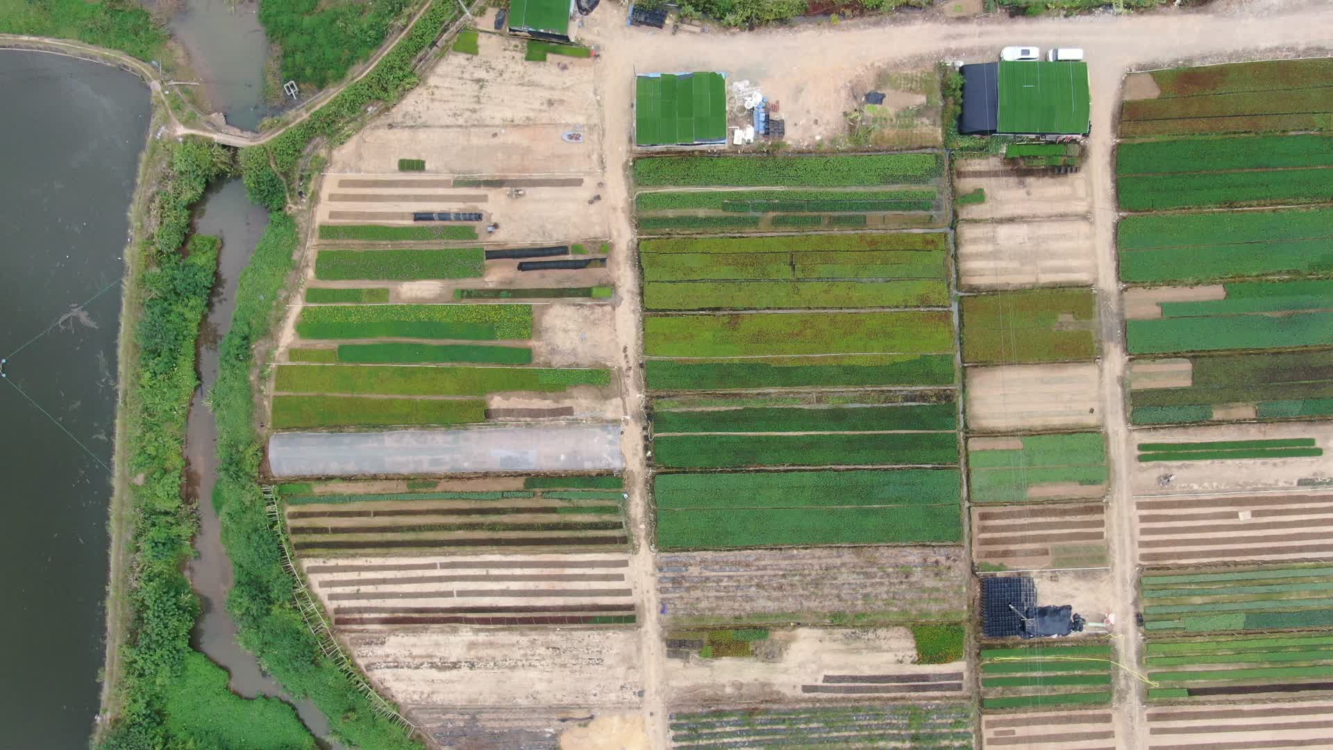 航拍农业农田种植蔬菜视频的预览图