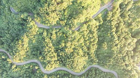 俯拍森林蜿蜒盘山公路视频的预览图