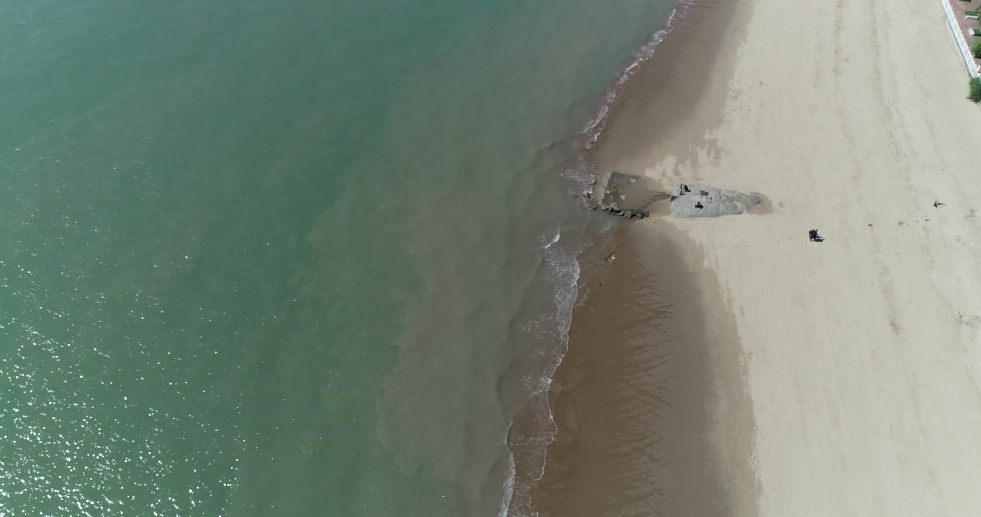 厦门市海滩航拍视频的预览图