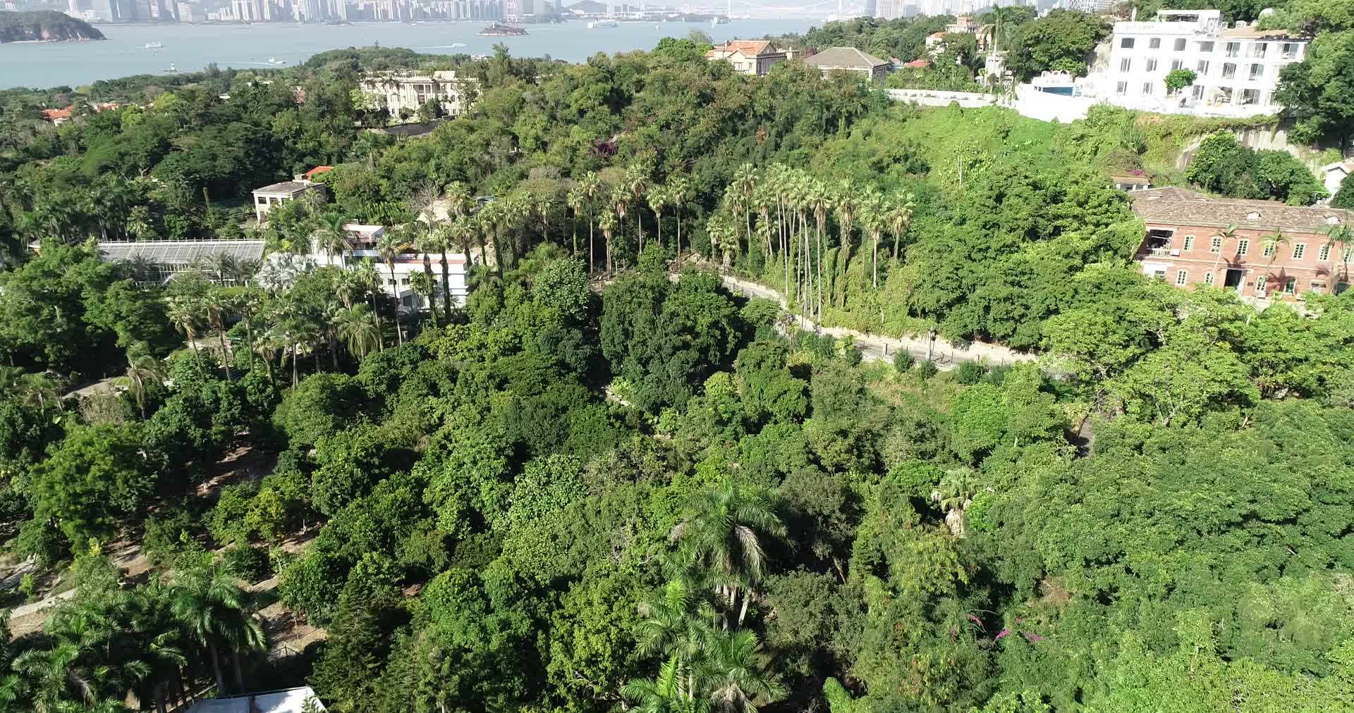俯拍厦门市城区视频视频的预览图