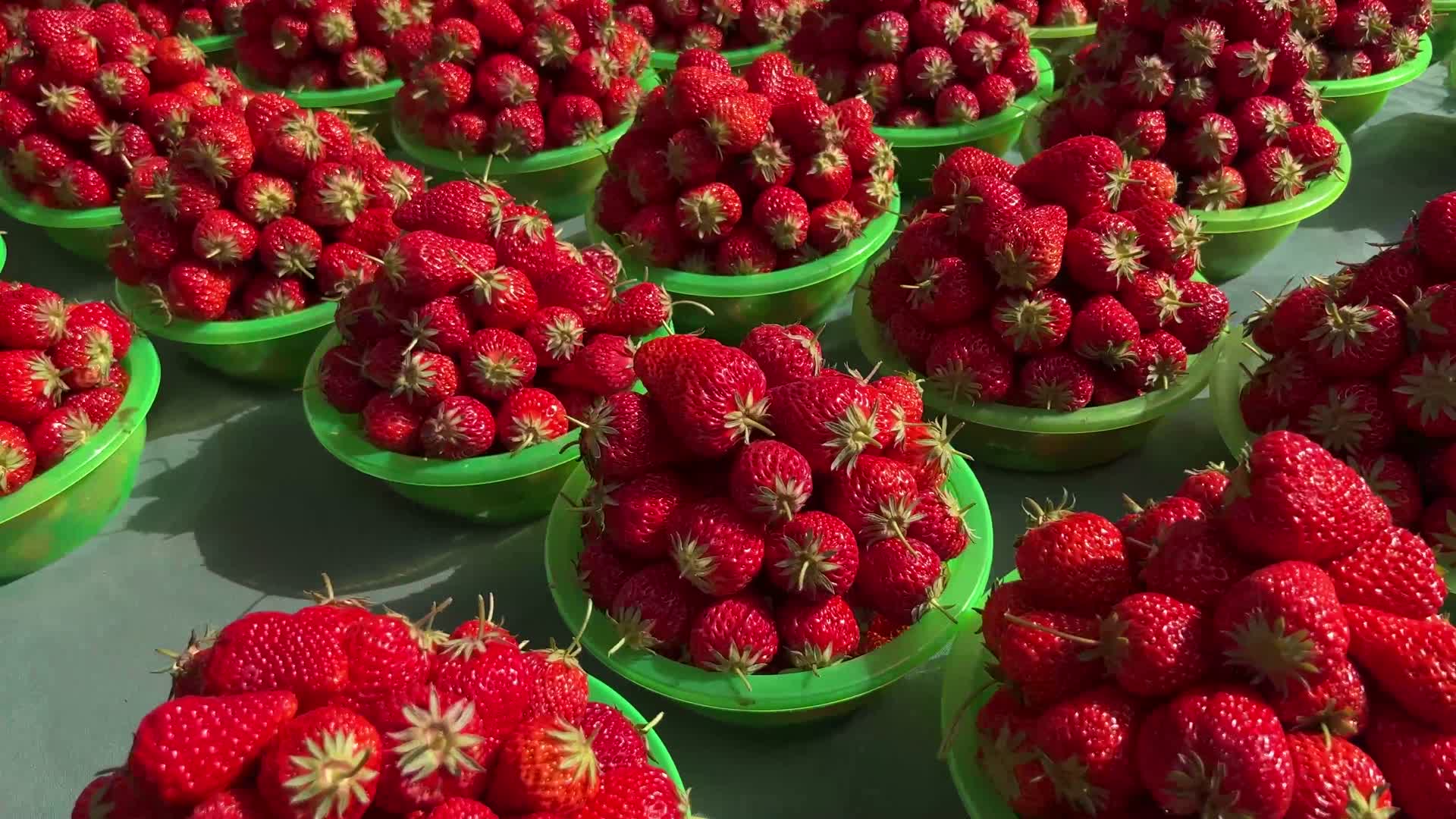 集市摆摊卖草莓春季水果视频的预览图