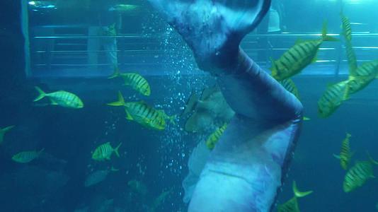 景点海洋馆的海底隧道视频的预览图