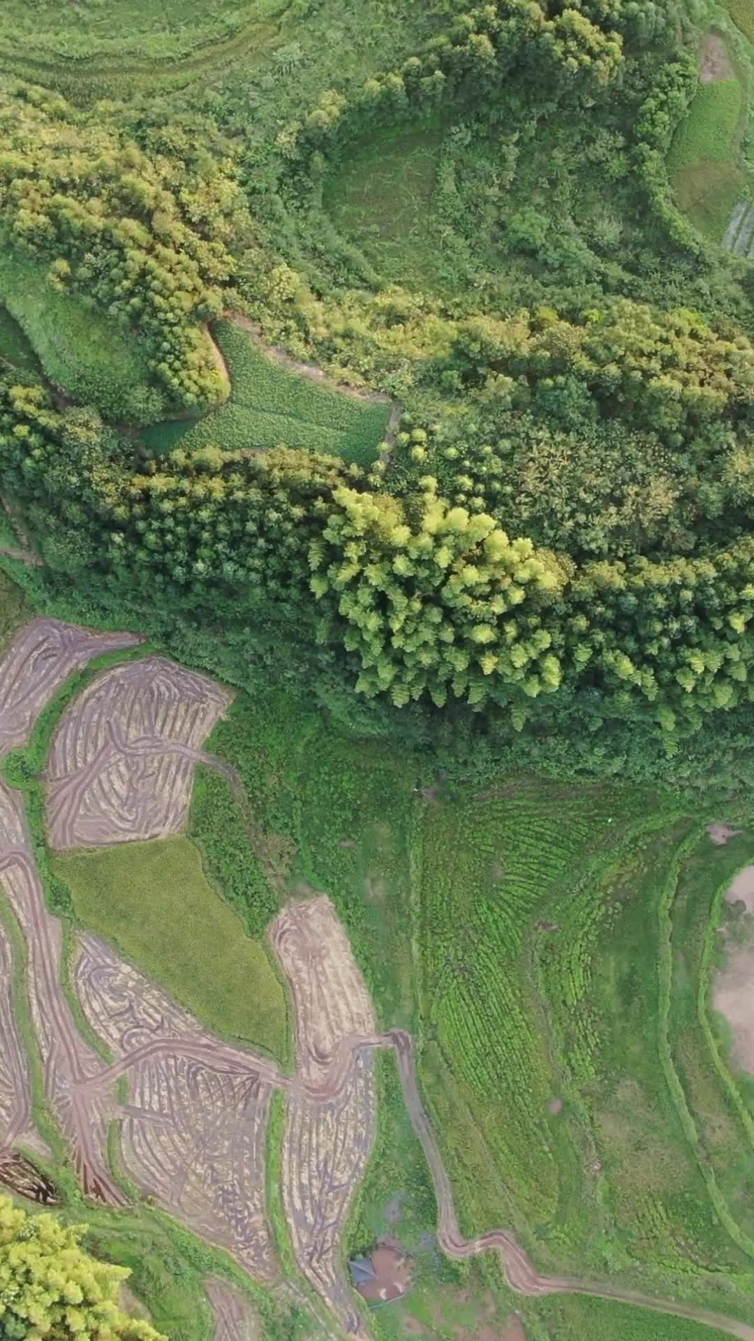 航拍丘陵农业种植农田视频的预览图