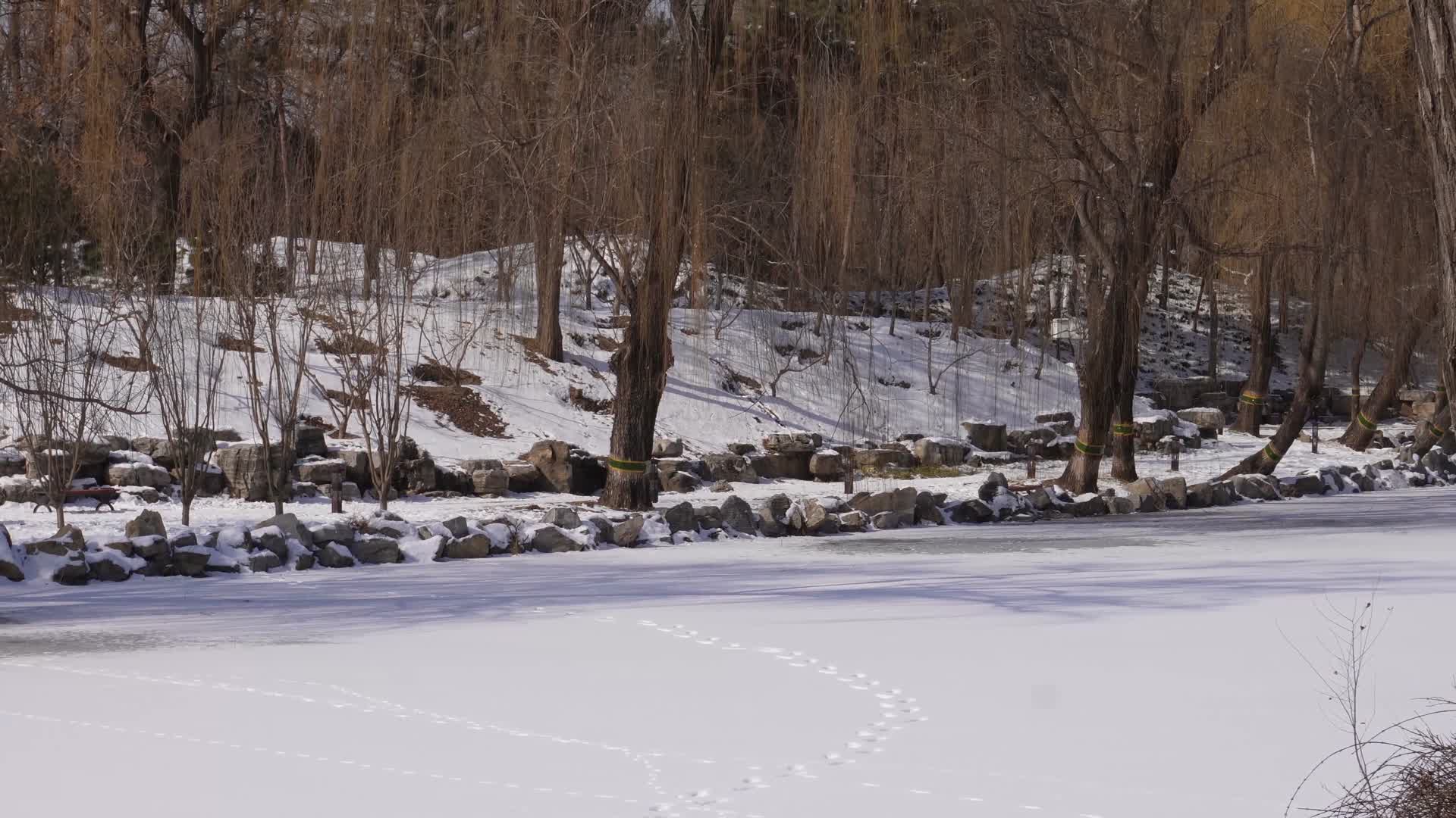 冷冻结冰河道冬季河流园林圆明园视频的预览图