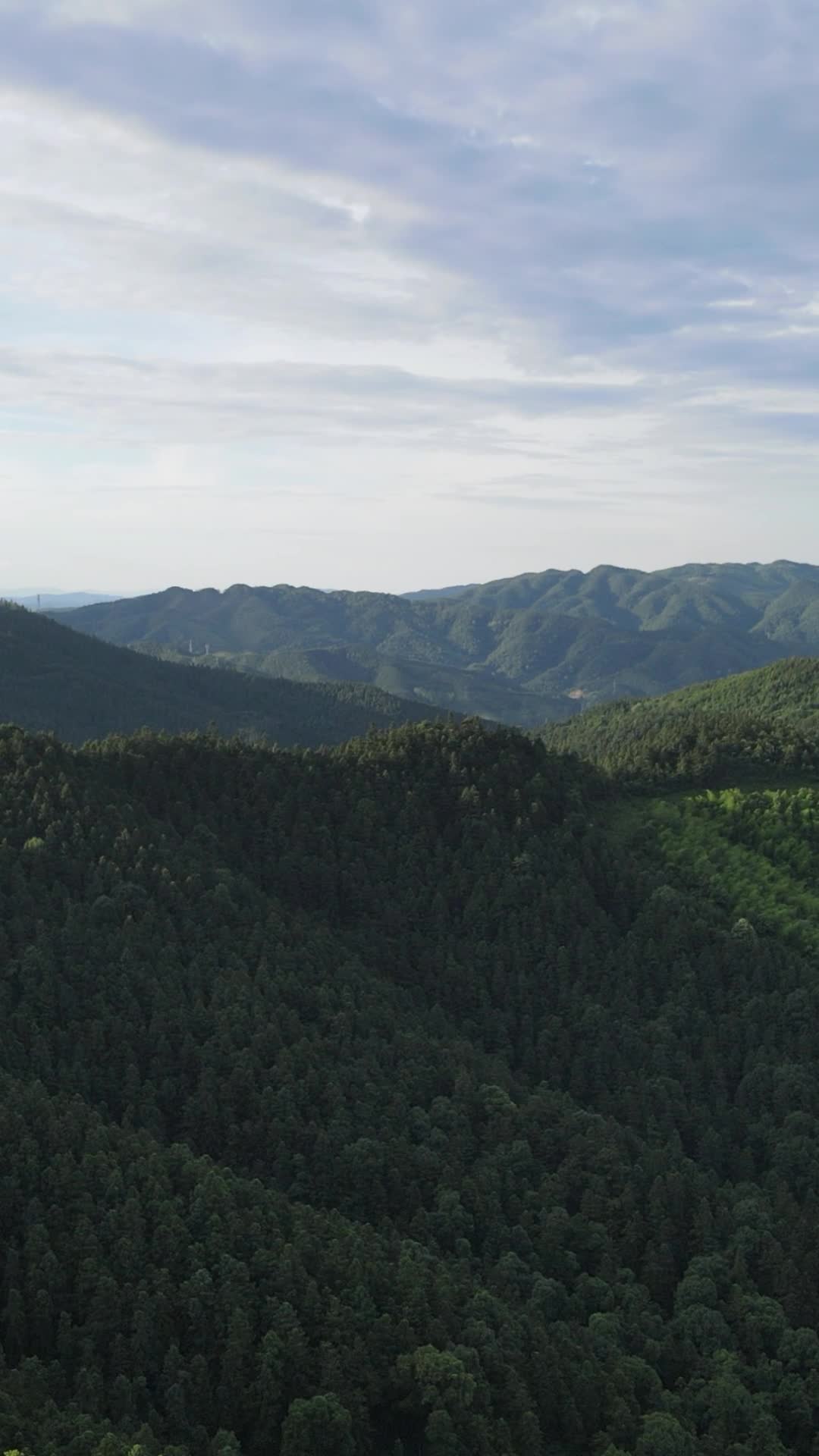 航拍山川森林绿色植物视频的预览图