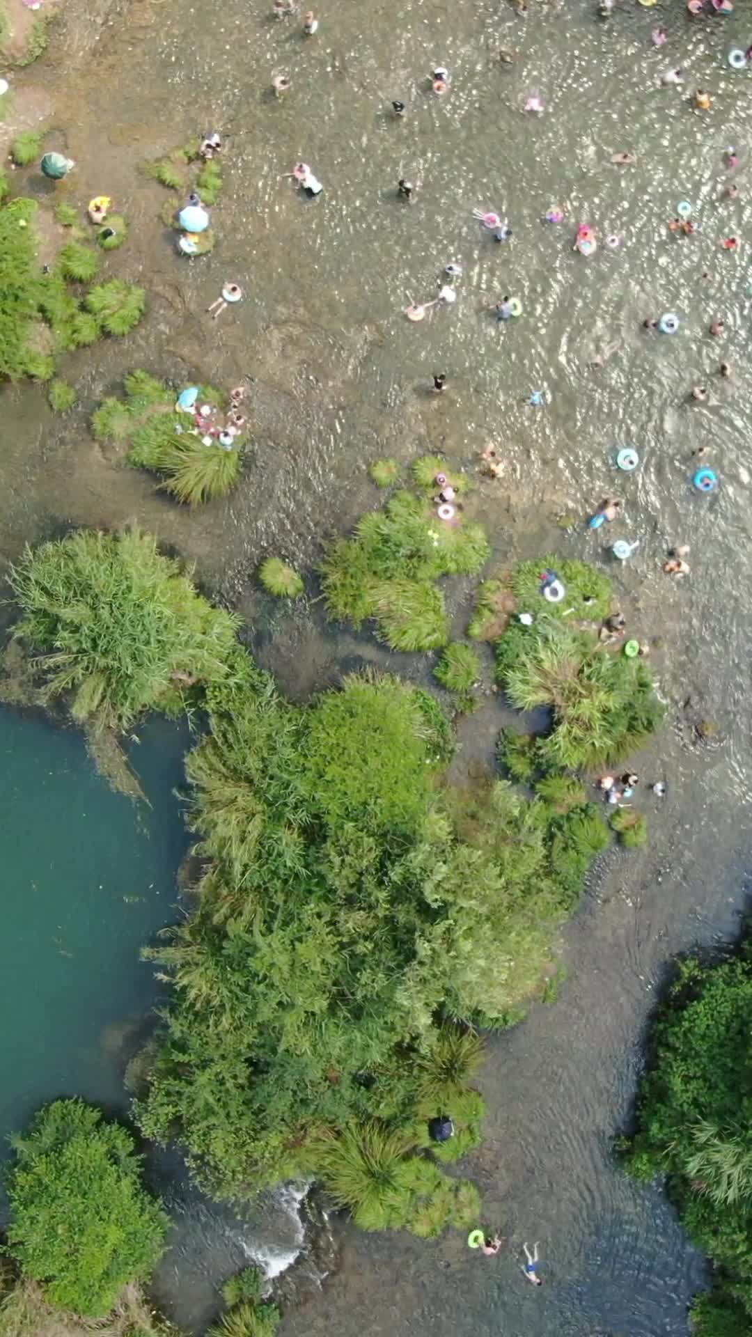 夏季河中游泳避暑竖屏航拍视频的预览图