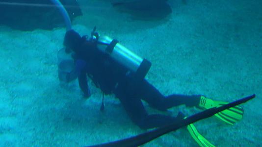 潜水员水下表演美人鱼海底视频的预览图