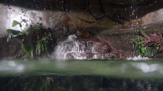 瀑布水流流水风景水波纹视频的预览图