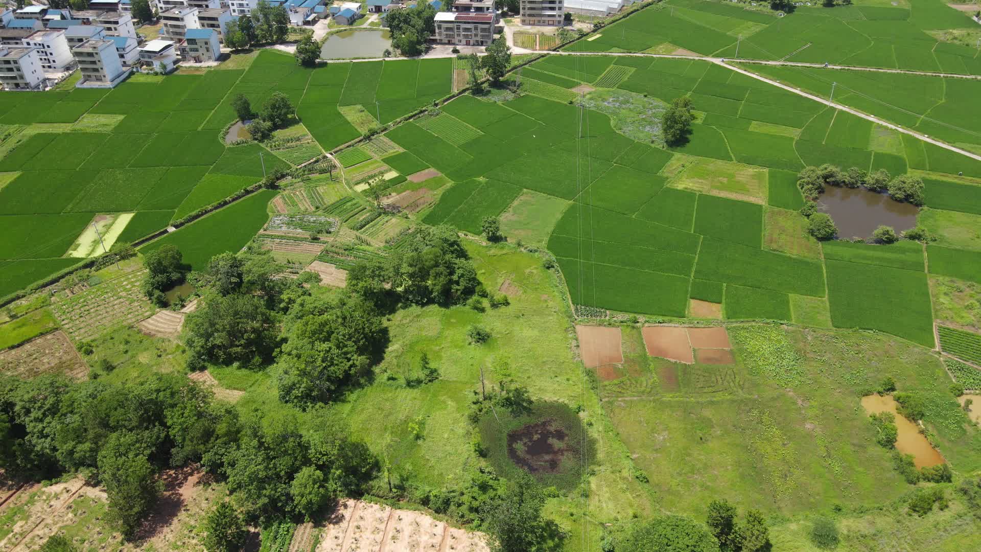 航拍绿色农田农业种植基地视频的预览图