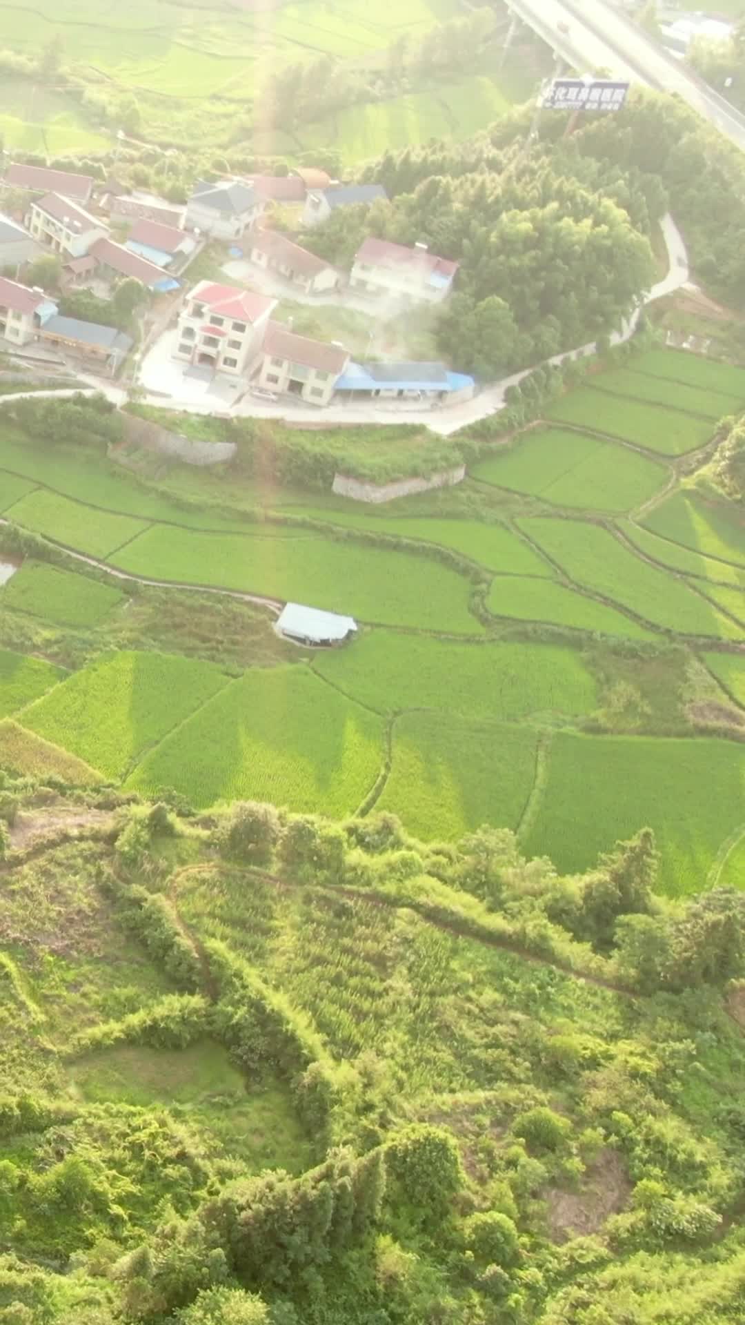 航拍绿色农田农业种植基地竖屏视频的预览图