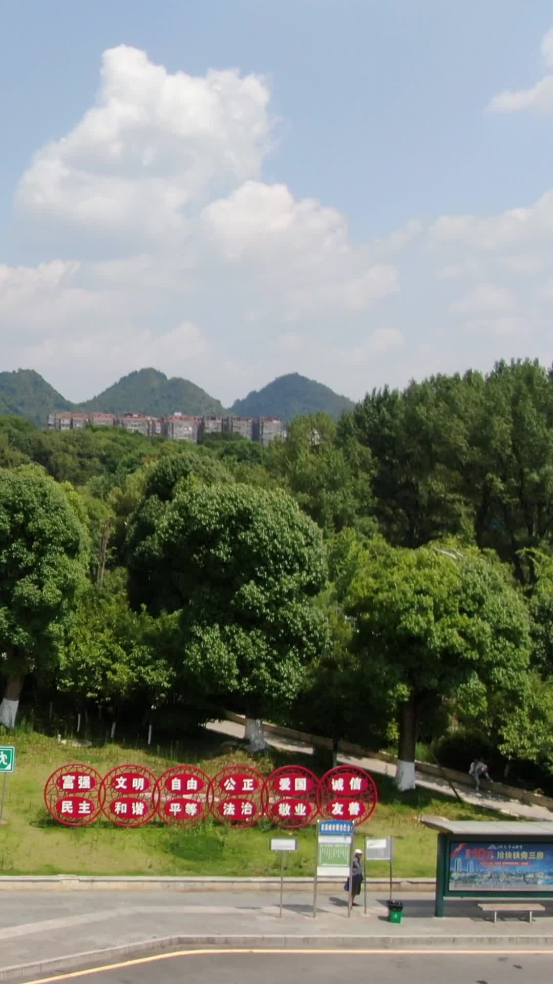 贵州贵阳花溪公园竖屏航拍视频的预览图