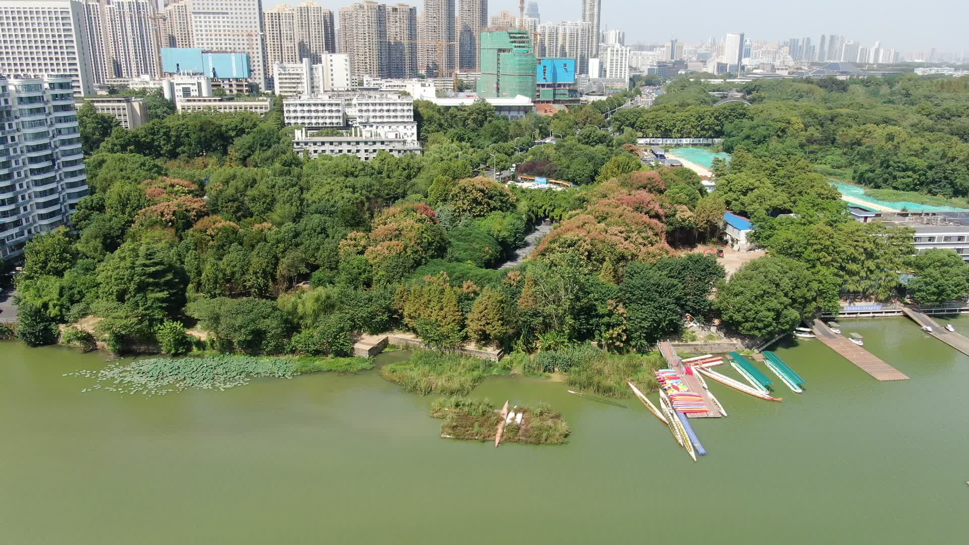 航拍湖北武汉东湖景区游船码头视频的预览图