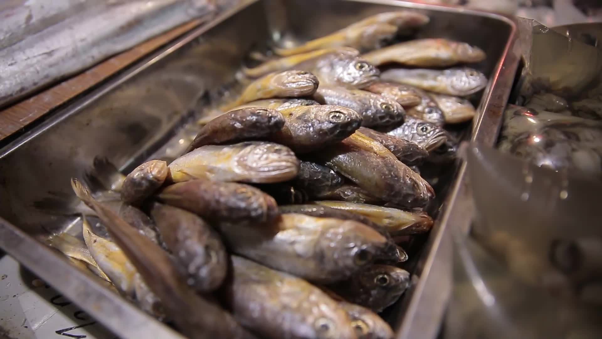 超市水产市场买鱼视频的预览图