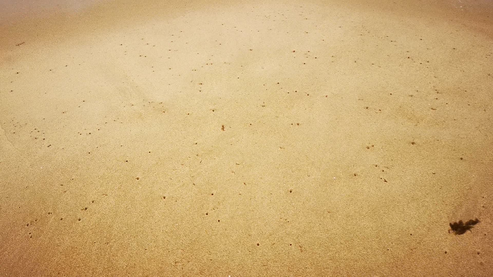 大海海浪沙滩礁石视频的预览图
