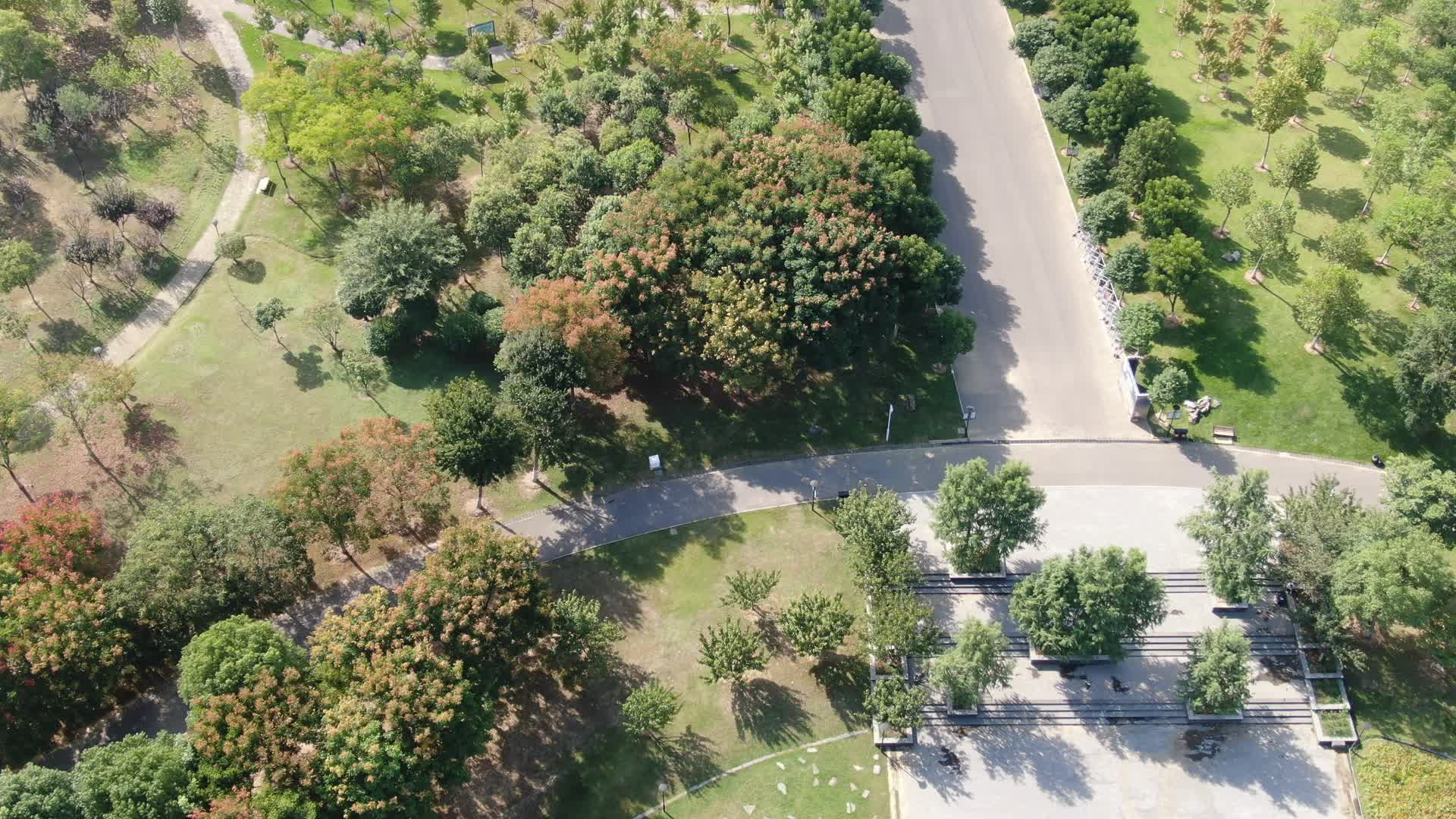 航拍湖北武汉沙湖公园广场视频的预览图